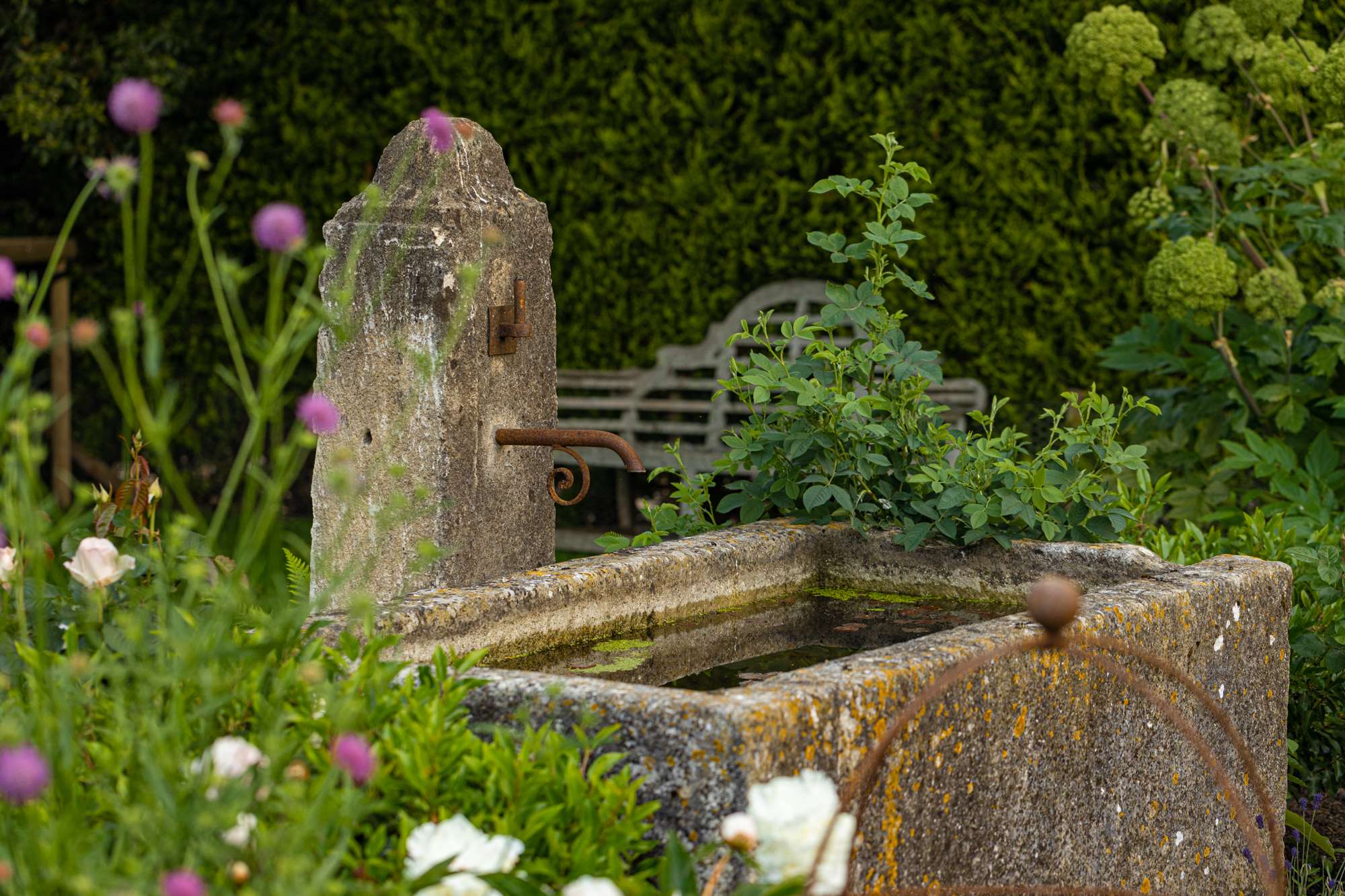 Water feature in the garden - Nicholsons Garden Design