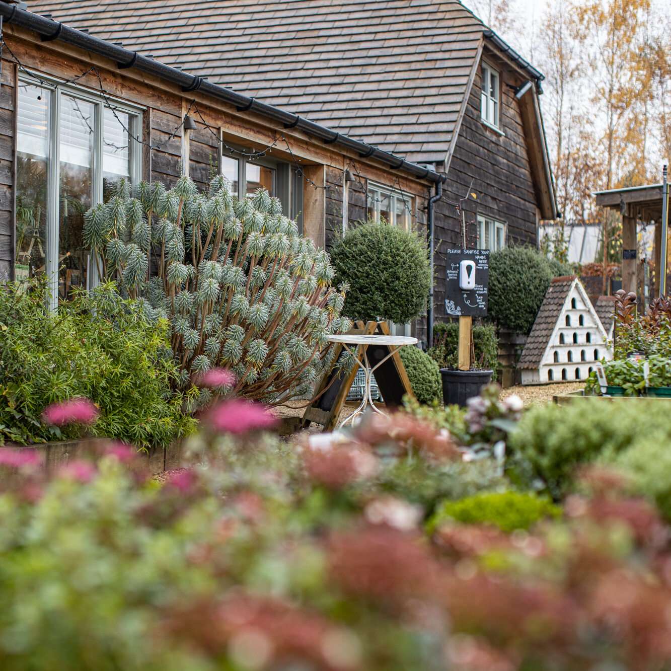 Nicholsons Plants