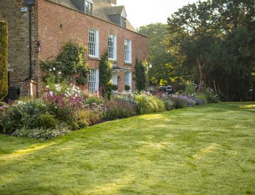 Planning Your Ideal Cottage Garden