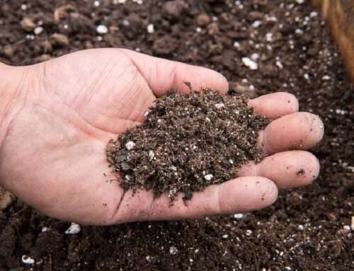 The Benefits of Compost and How to Make Your Own