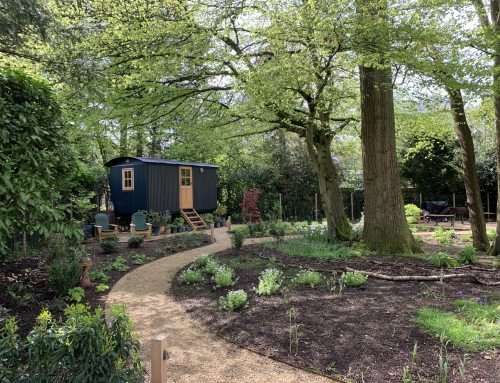 Woodland Garden Case Study