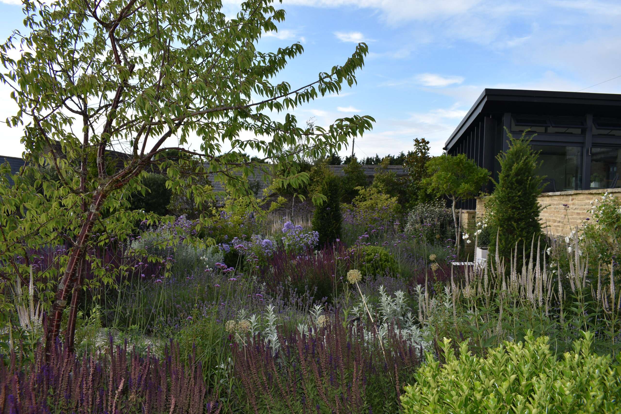 RS – Purple & Silver Planting