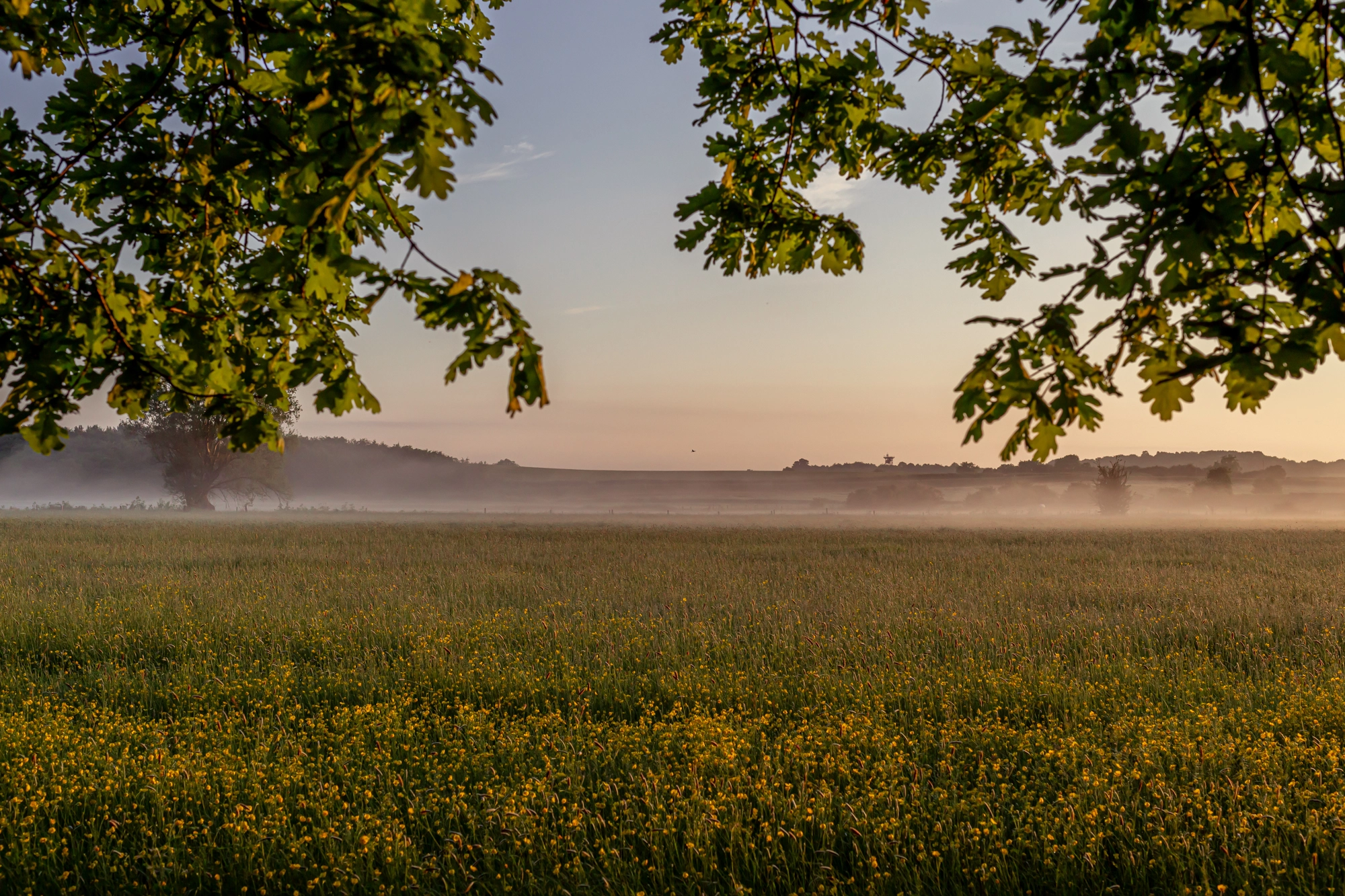 Nicholsons Landscape Management & Planning