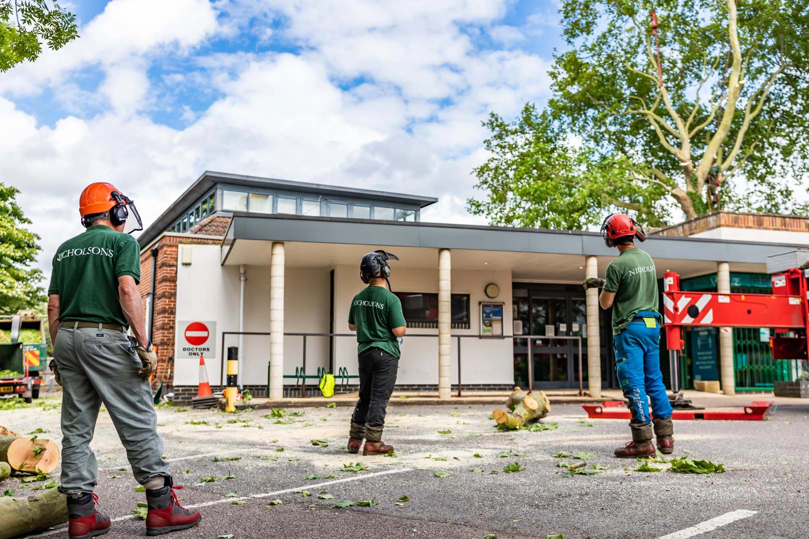 Nicholsons Trees and Development Services