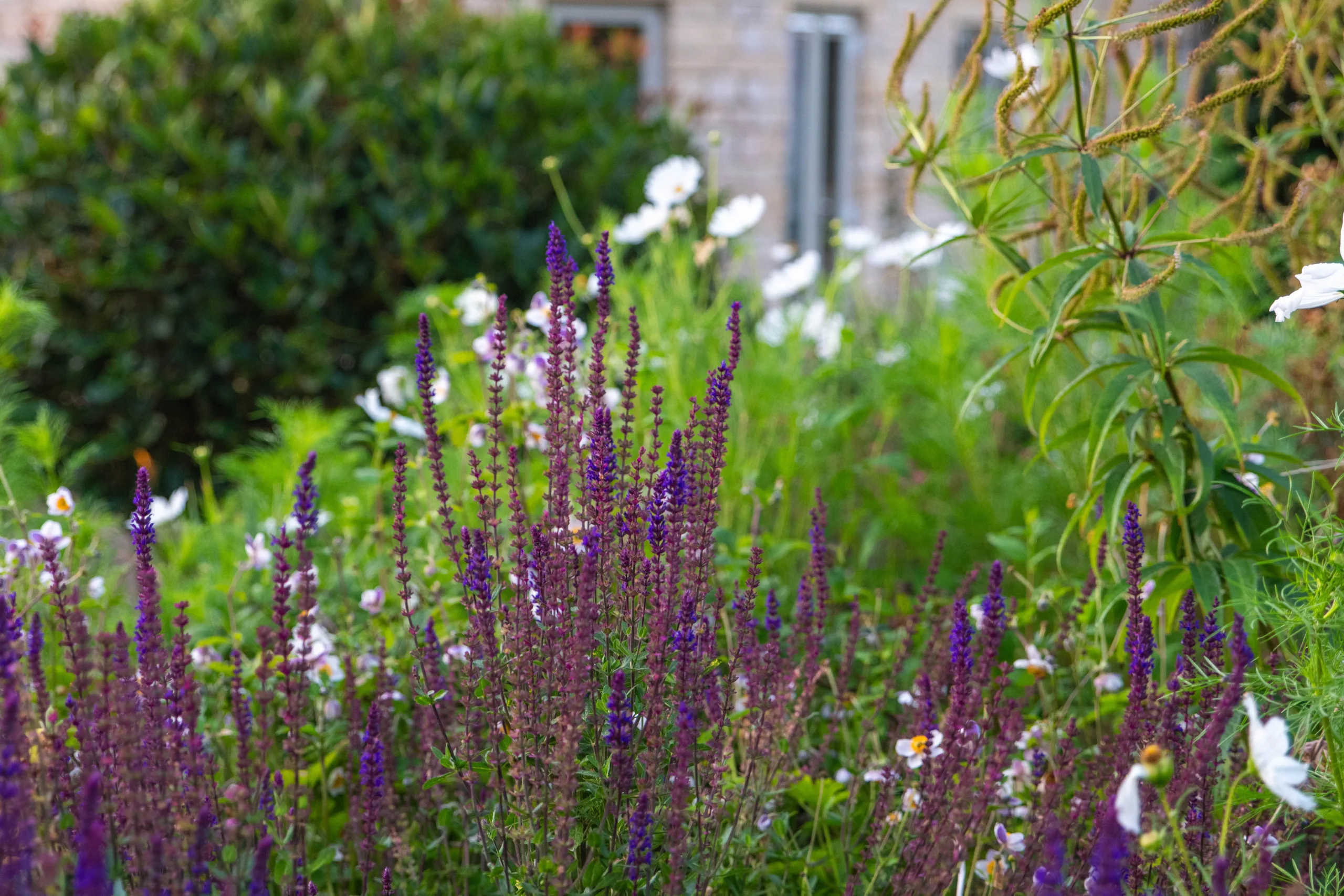 Oxfordshire garden design with colourful flowering borders and trees