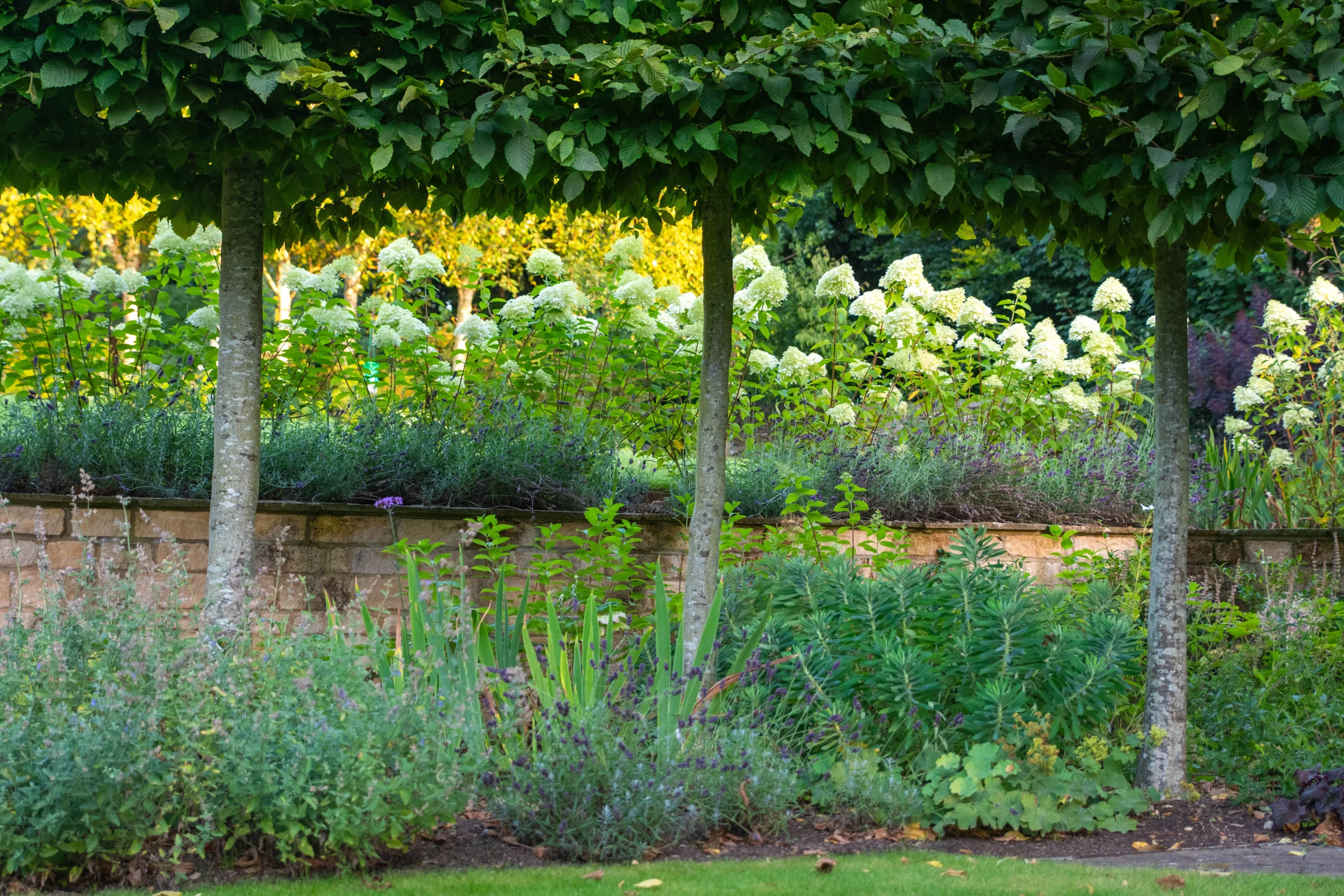 Oxfordshire garden design showing interplay of trees, lawns, and colour