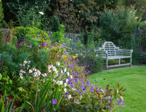 Oxfordshire Country Garden