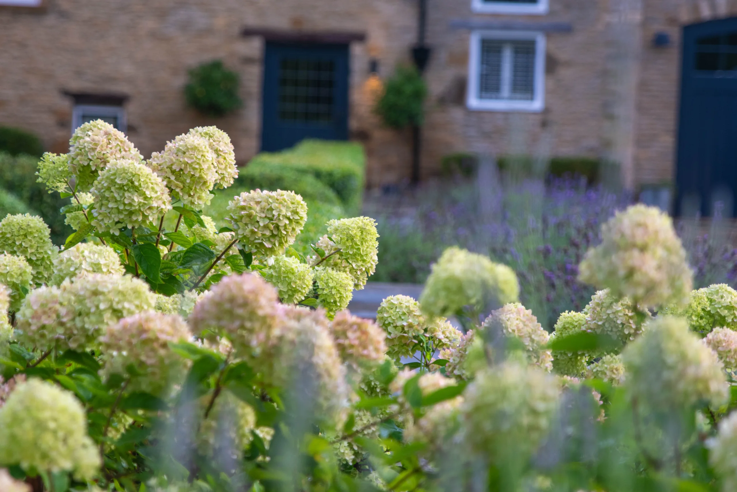 Seasonal view of Oxfordshire farmhouse garden design with flower-filled meadows