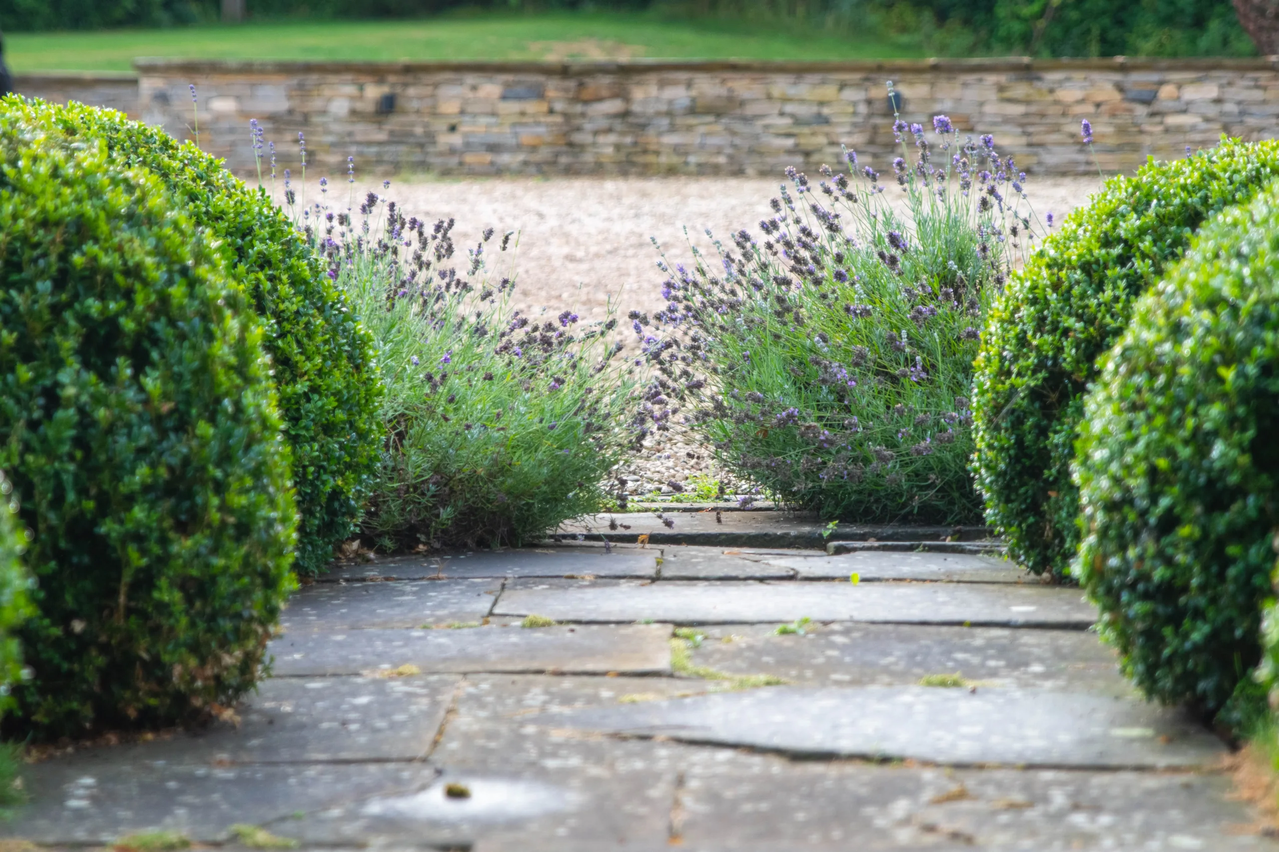 Pathway through Oxfordshire farmhouse garden design lined with native trees
