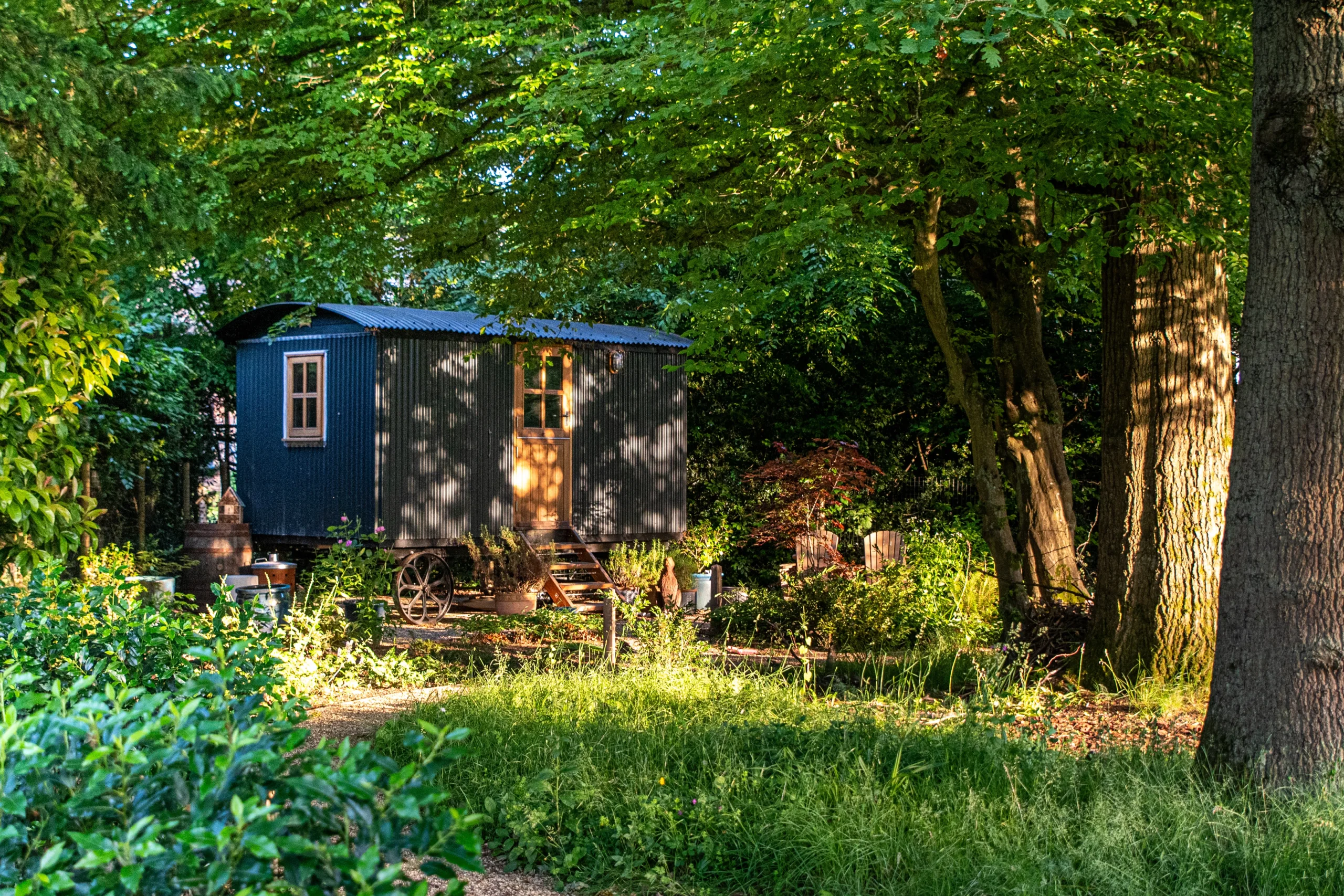 Woodland family garden in Beaconsfield with shepherd’s hut by Nicholsons