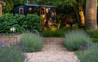 Relaxing outdoor space featuring dappled woodland light