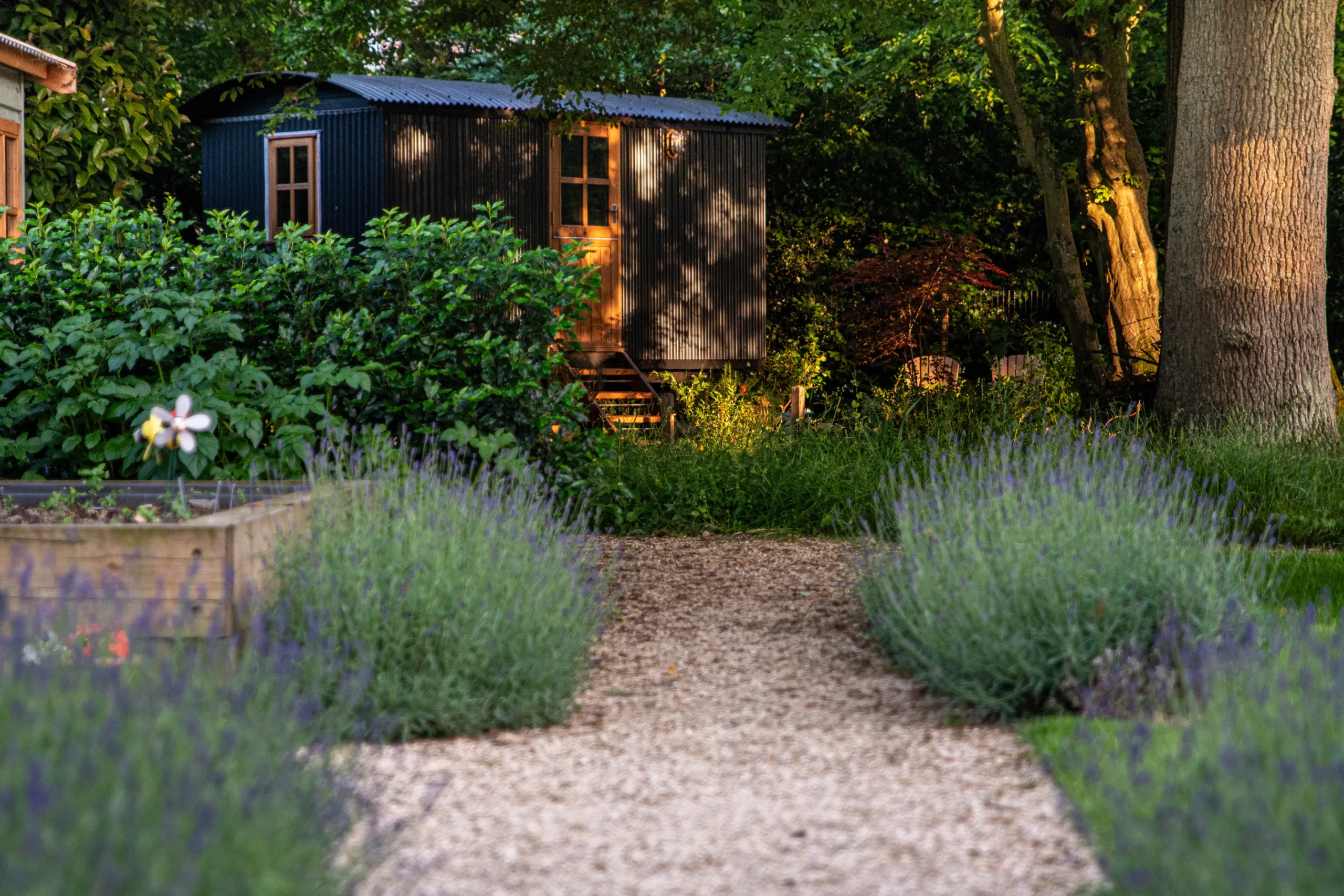 Relaxing outdoor space featuring dappled woodland light