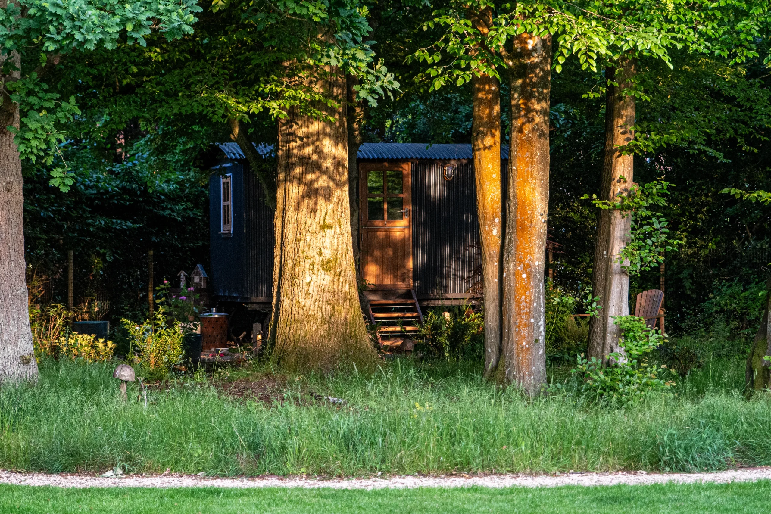 Sustainable planting design with native trees and shrubs