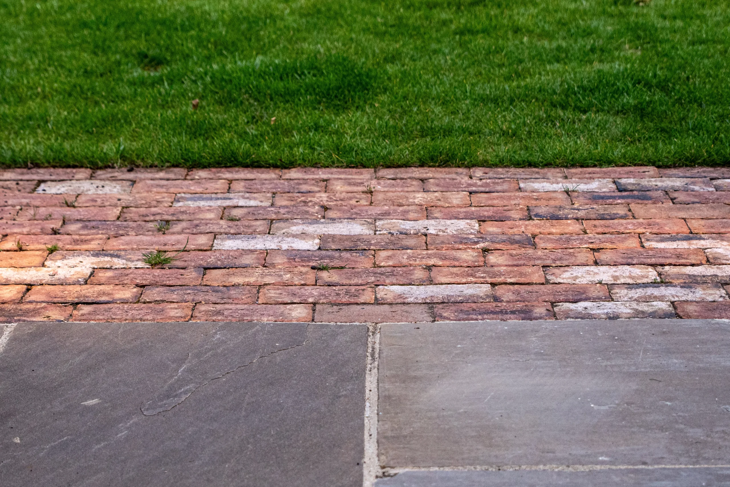 Shepherd’s hut nestled among trees in woodland family garden in Beaconsfield