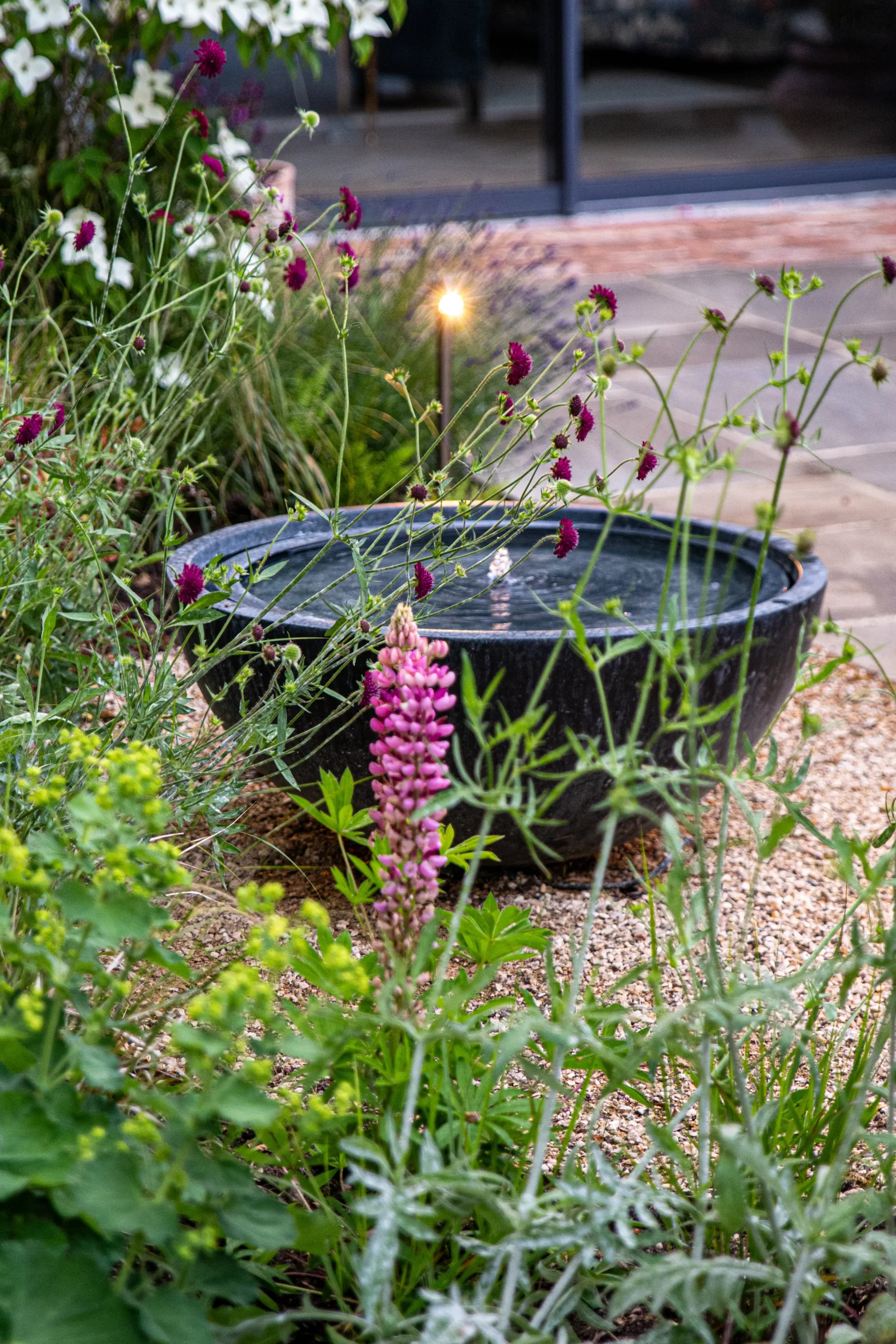 Garden design blending new build architecture with natural landscape