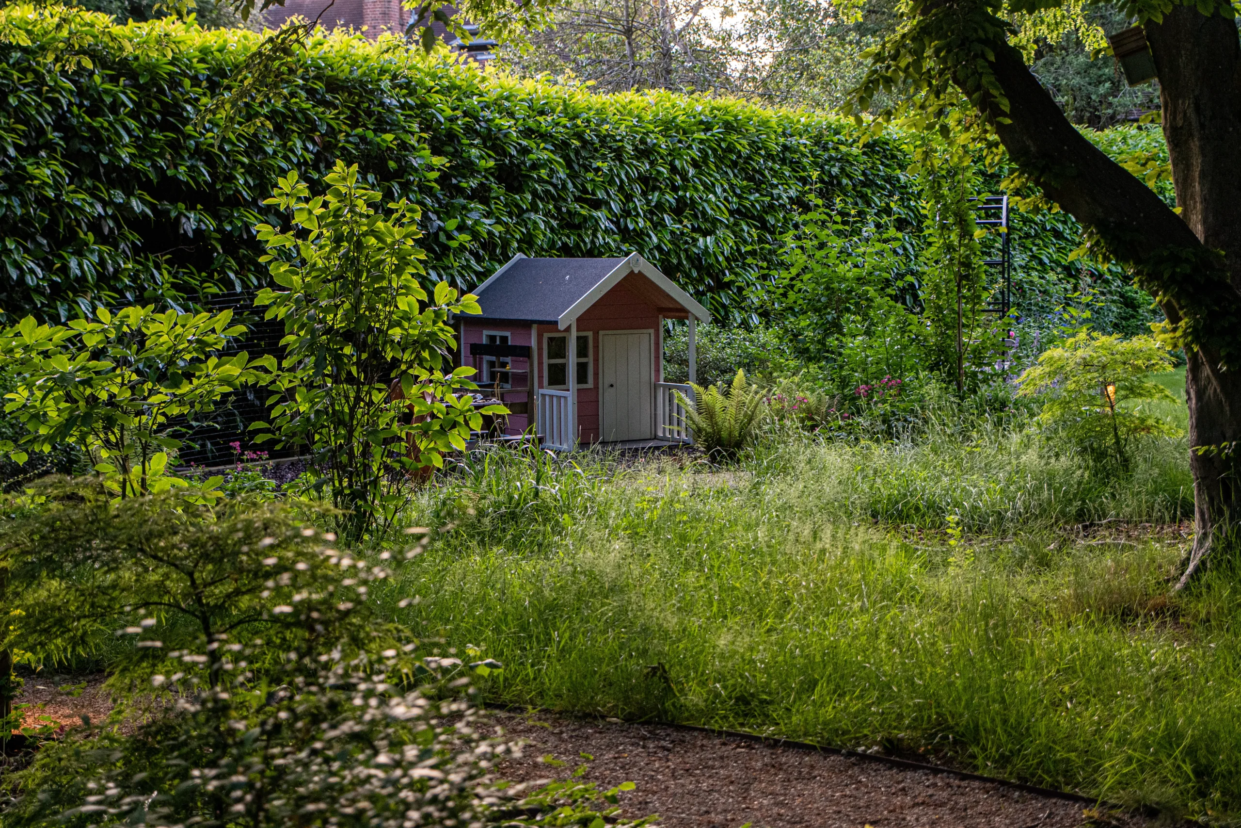 Woodland pathway leading to outdoor seating area