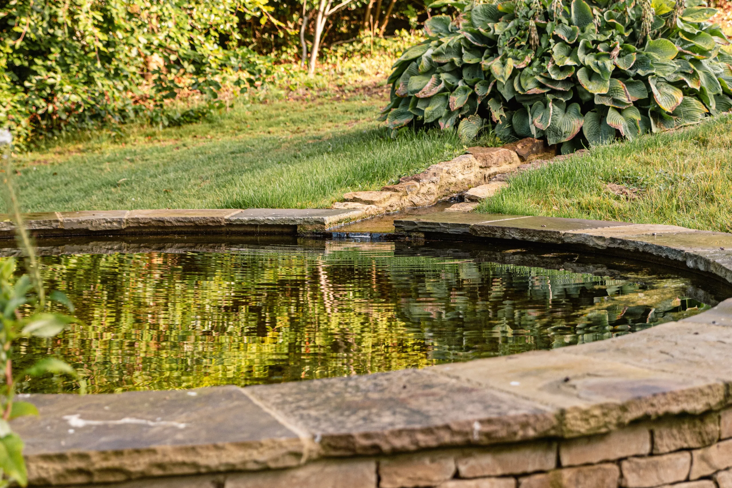 Garden lighting illuminating pool and water feature at dusk