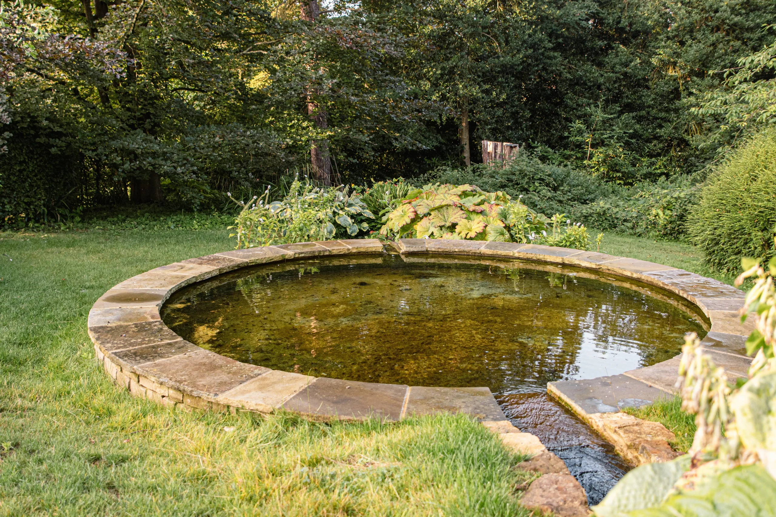 Contemporary garden landscape with linear pool design