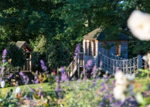 Warwickshire family garden design with bespoke timber climbing structure