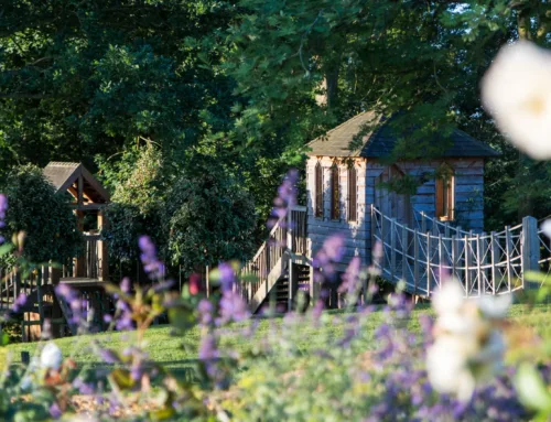 Warwickshire Family Garden