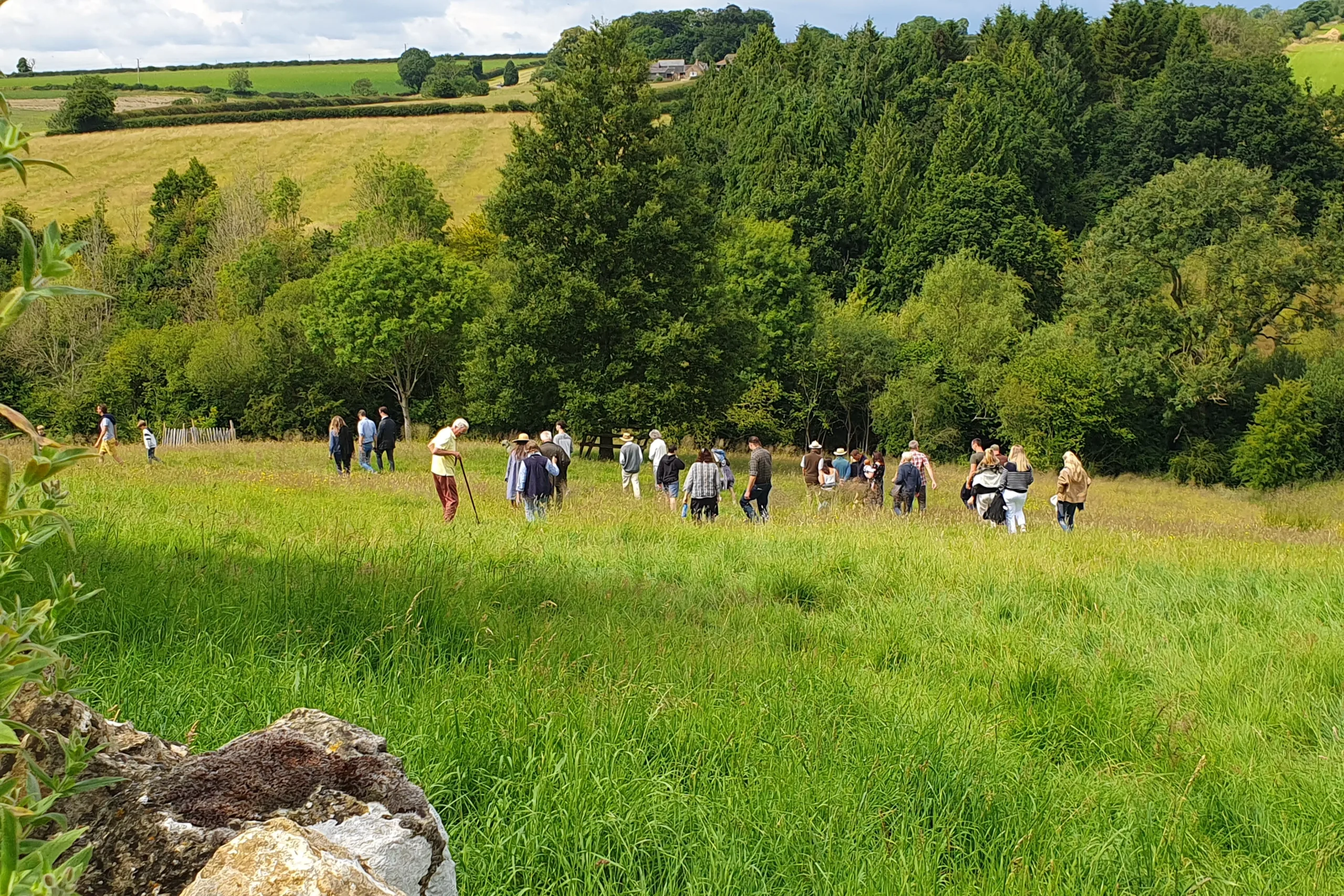 Farmers clusters collaboration Nicholsons