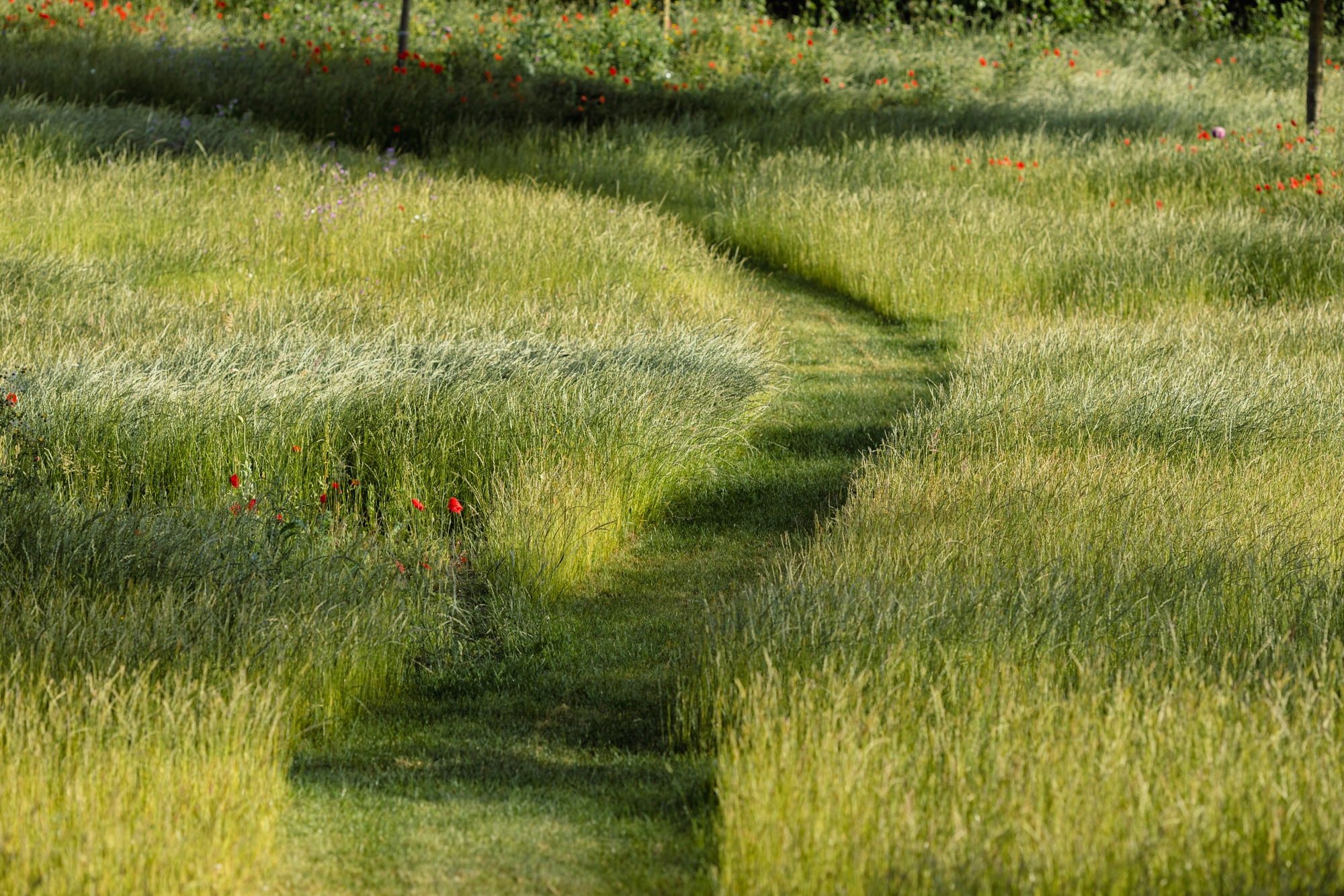 Berkshire pool garden design