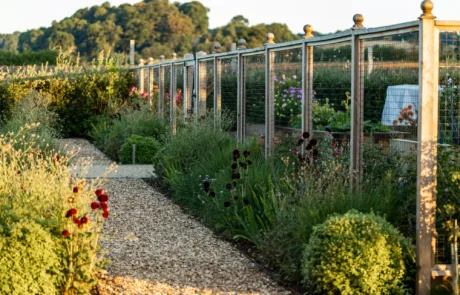 edible garden design with cane fruits, herbs and rhubarb in the cotswolds