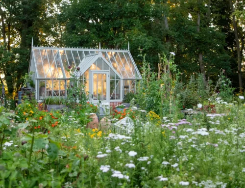 Nicholsons & The Rooflight Co. Rooted In Light: Part 2 – Healthy Spaces