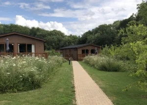 Woodland holiday park design featuring sustainable lodges within a forest setting
