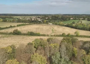 Large scale woodland design and creation