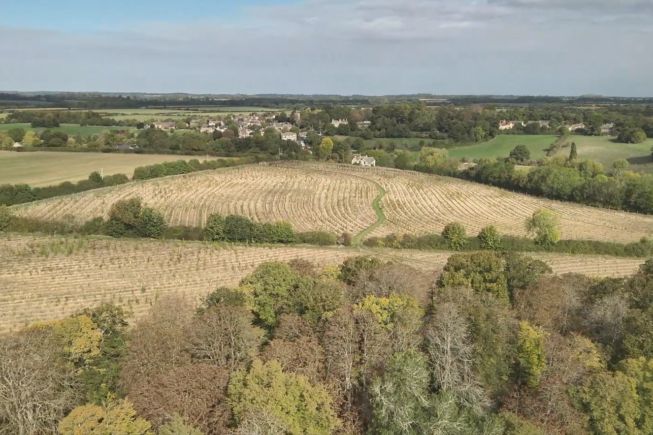 Large scale woodland design and creation