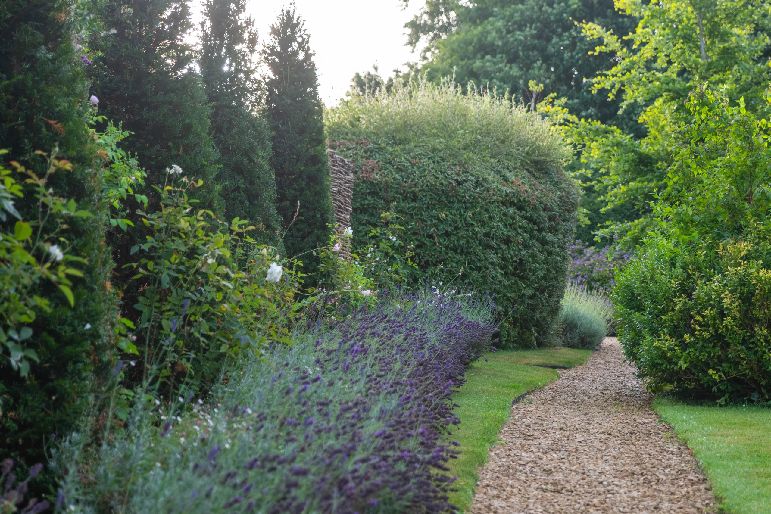 Expert gardeners providing routine maintenance to keep a garden looking its best year‑round.