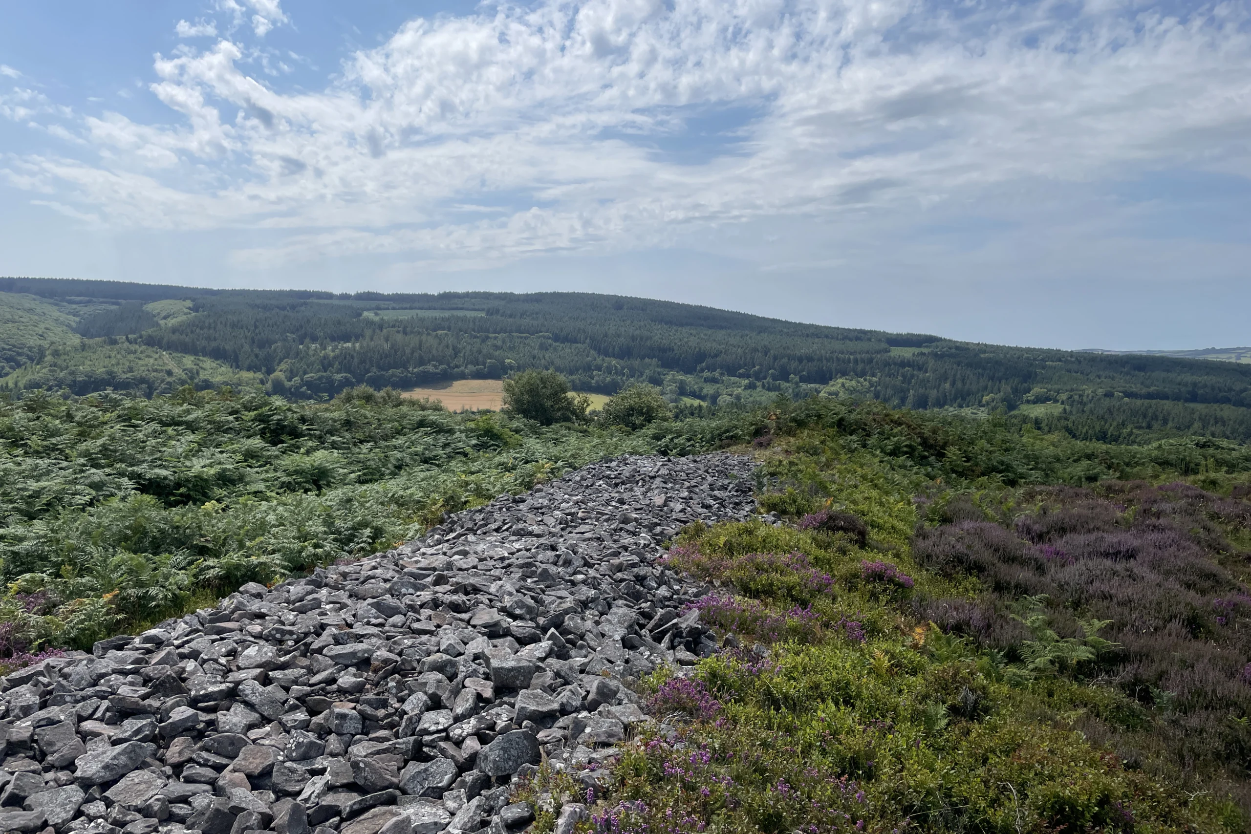 Natural capital assessment informed by ground‑truthing and estate stakeholder engagement in North Somerset