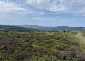 Natural capital assessment mapping land use, habitats and opportunities across a large North Somerset rural estate