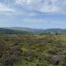 Natural capital assessment mapping land use, habitats and opportunities across a large North Somerset rural estate