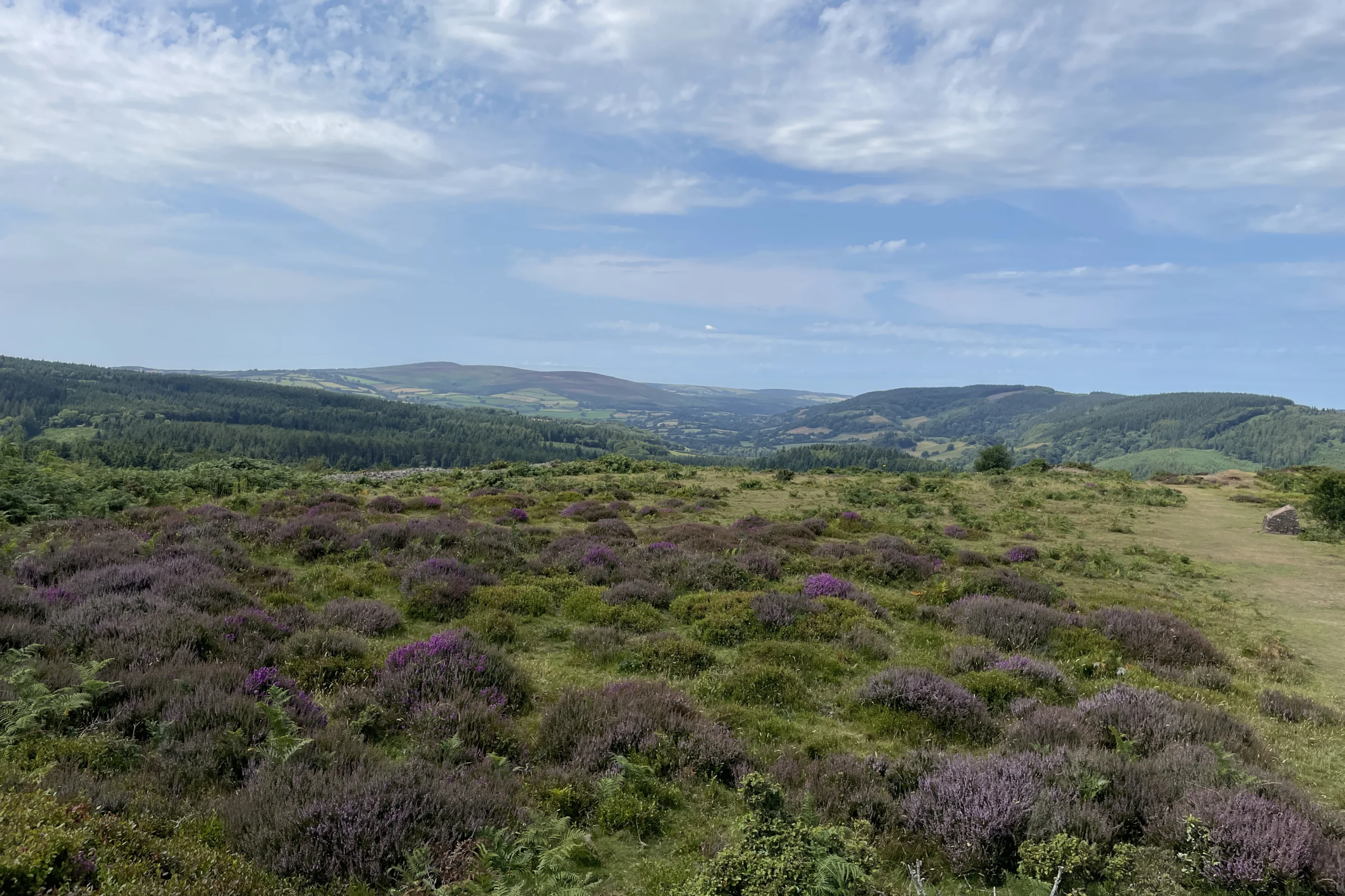 Natural capital assessment mapping land use, habitats and opportunities across a large North Somerset rural estate
