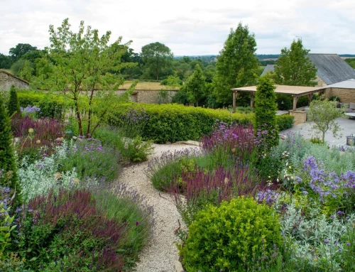 Climate-resilient planting: Why collaboration is key to future-proof landscapes